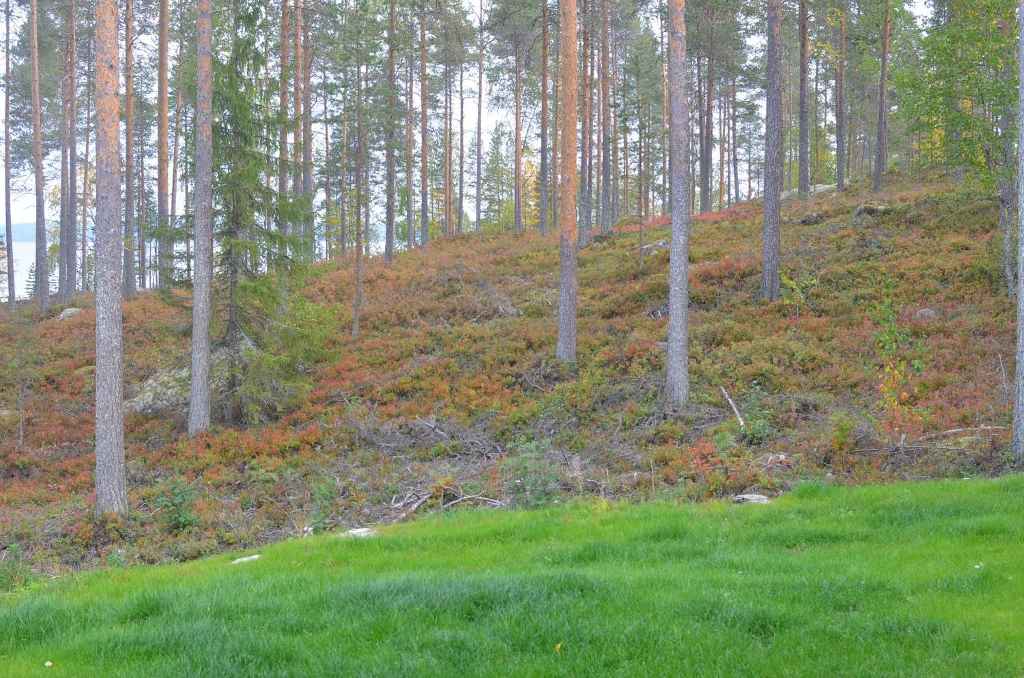 Kainiemen Huvilat Nurmes Room photo